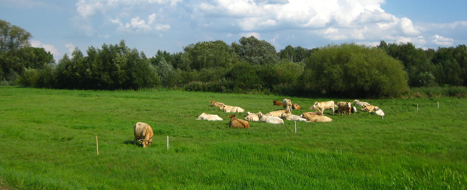 Spreewald single mit kind