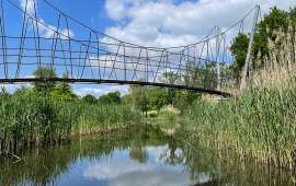 Einfahrt Spree Lagune Lübben