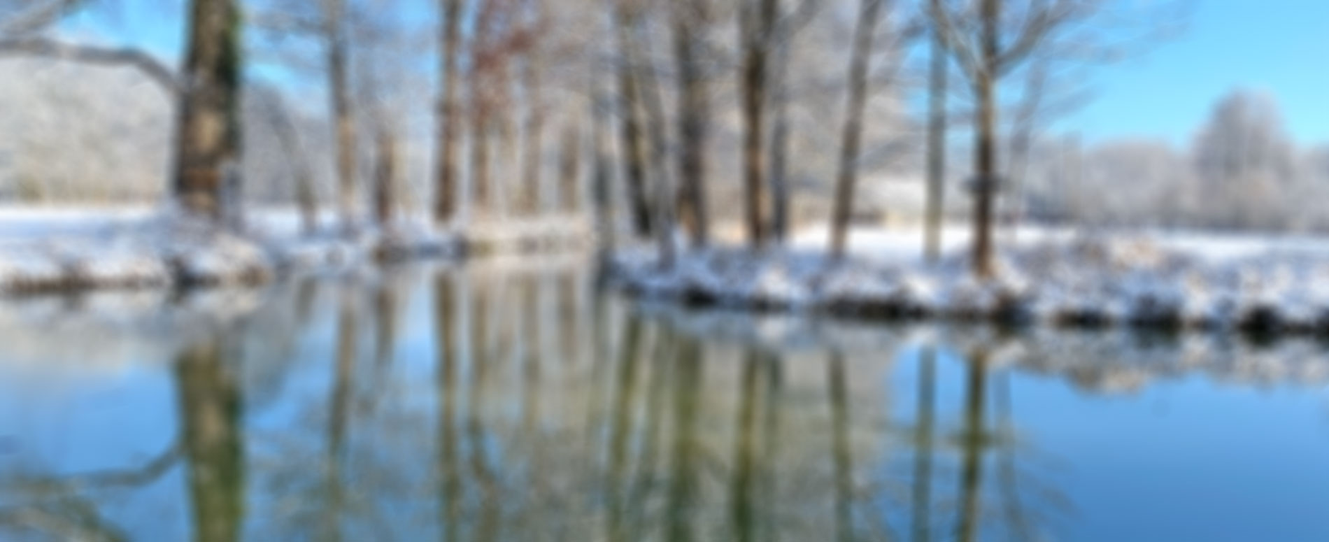 Spreewald