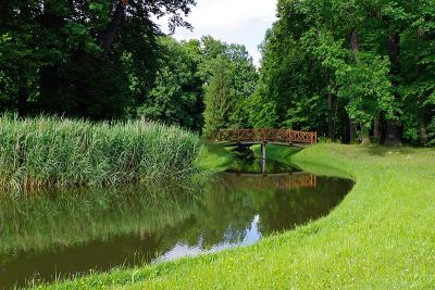 Brücke im Branitzer Park