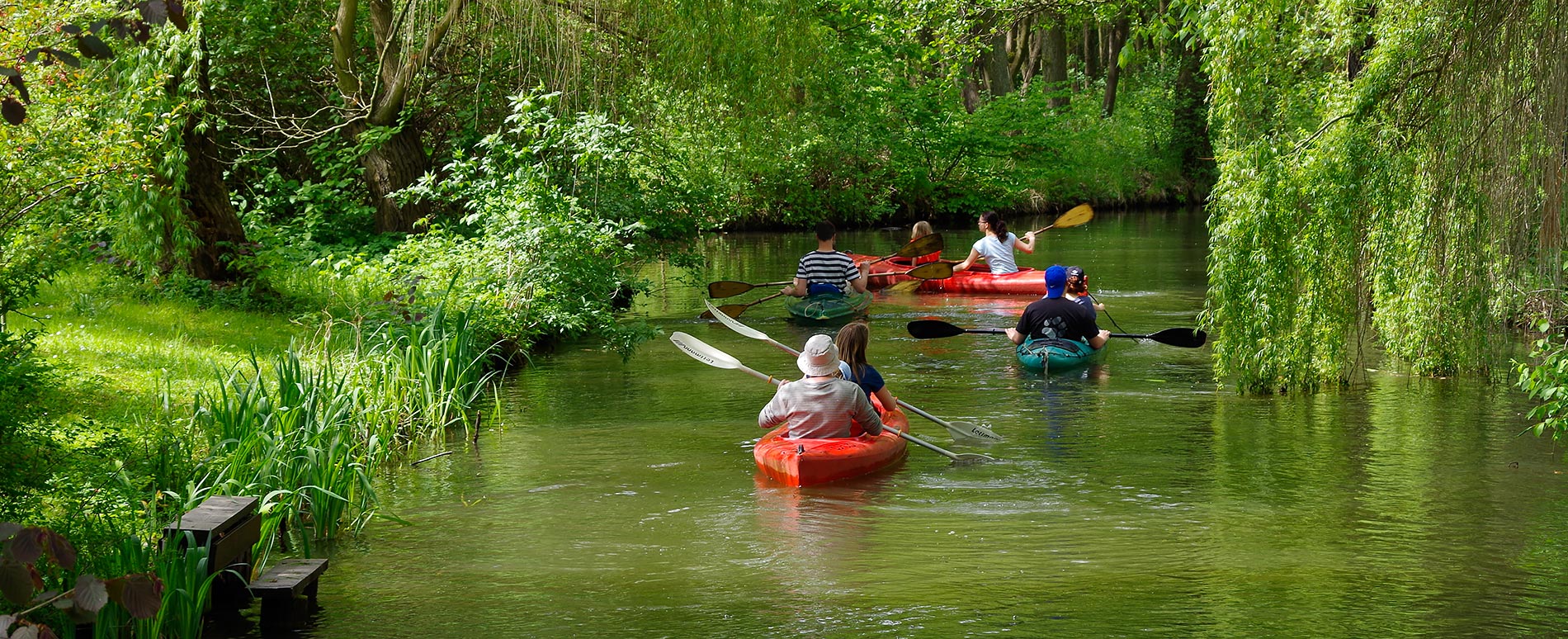 Paddeltour im Spreewald