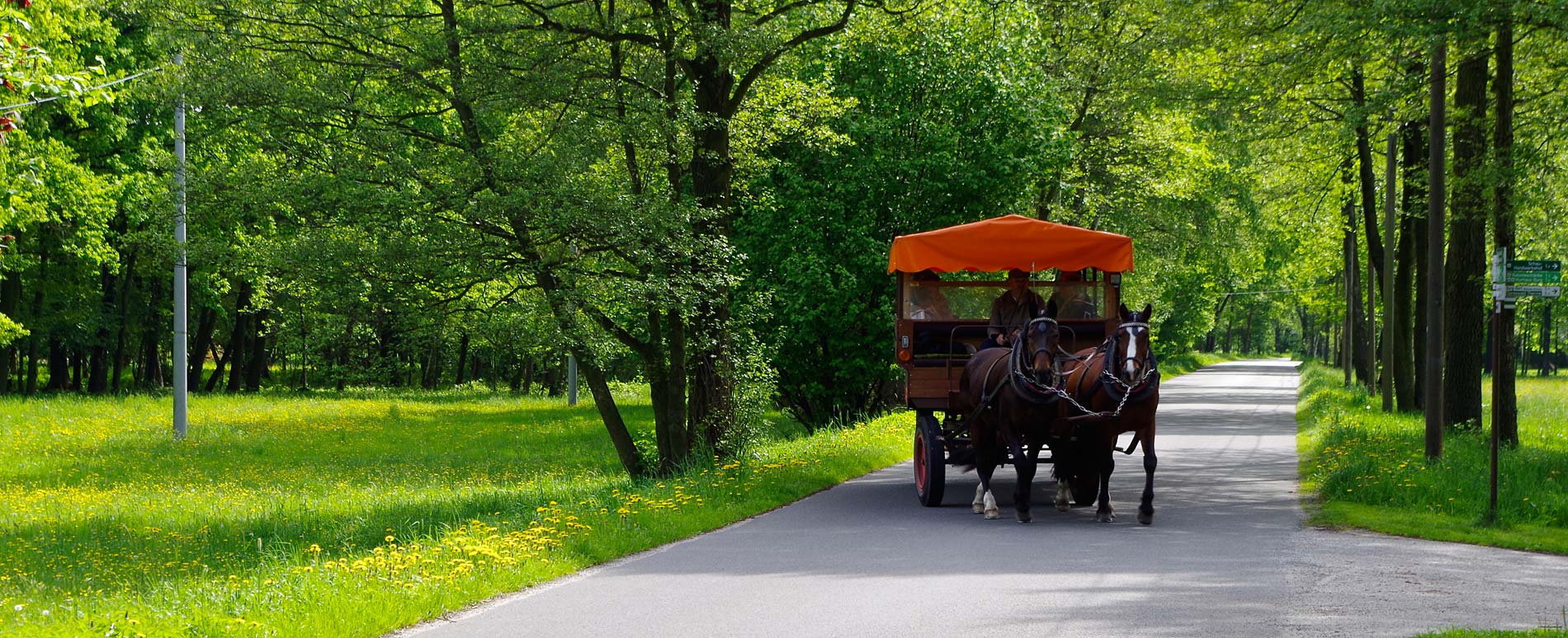 Kremserfahrt im Spreewald