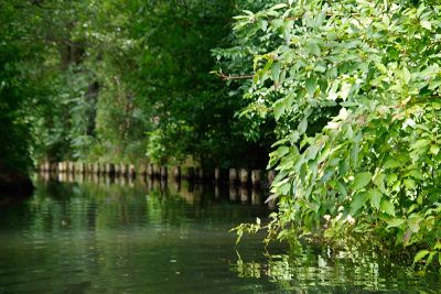 Fließ im Spreewald