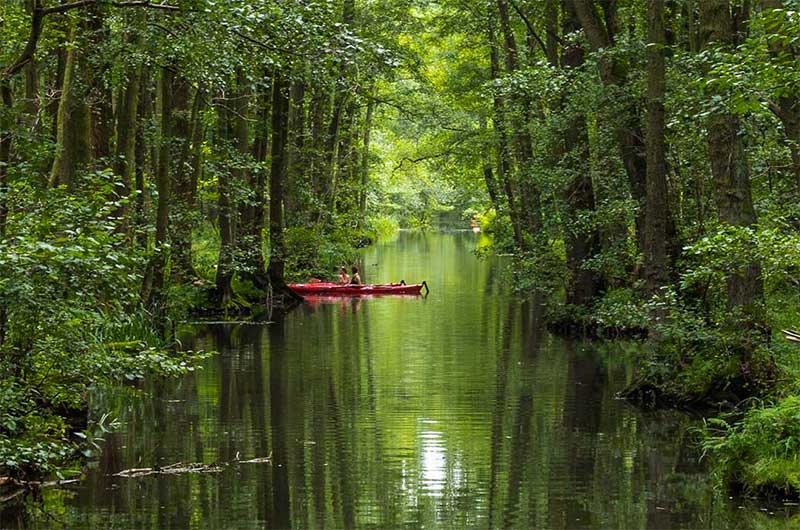 Paddler