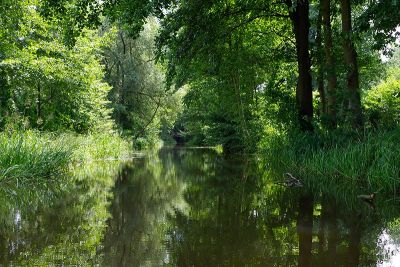 Paddeln zum Barfußpark