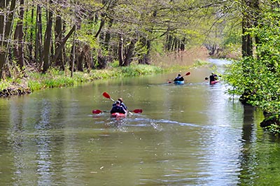 Paddeln im Spreewald