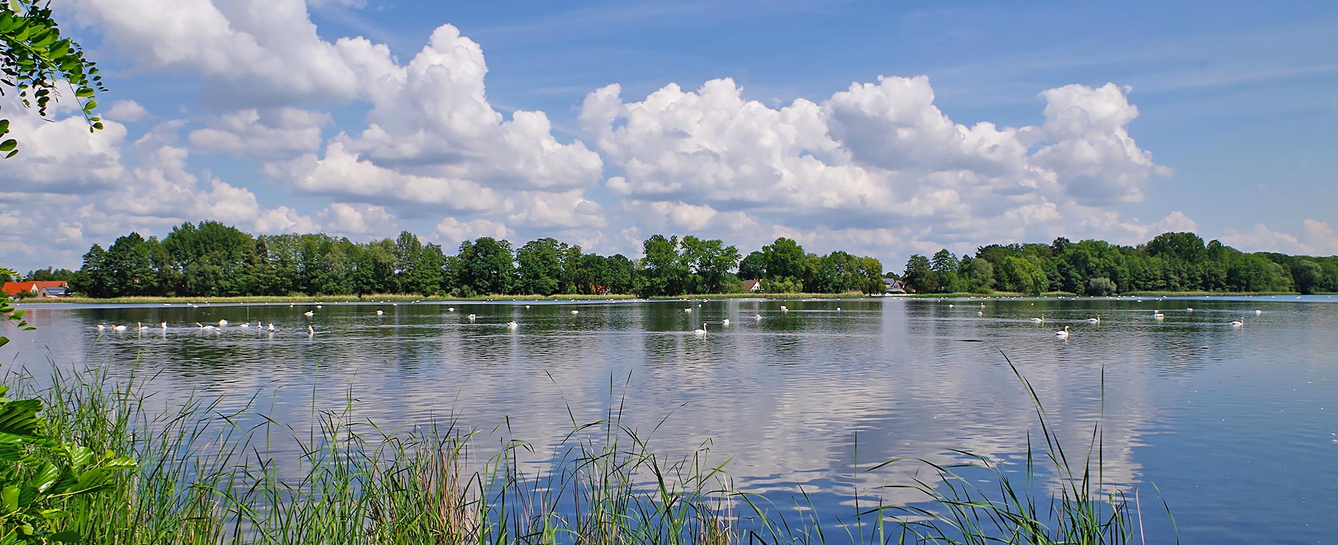 Peitzer Teiche