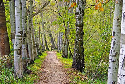 Wotschofskaweg im Herbst