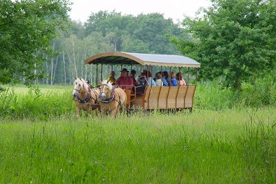 Angebot Spreewald-Sommer in Familie