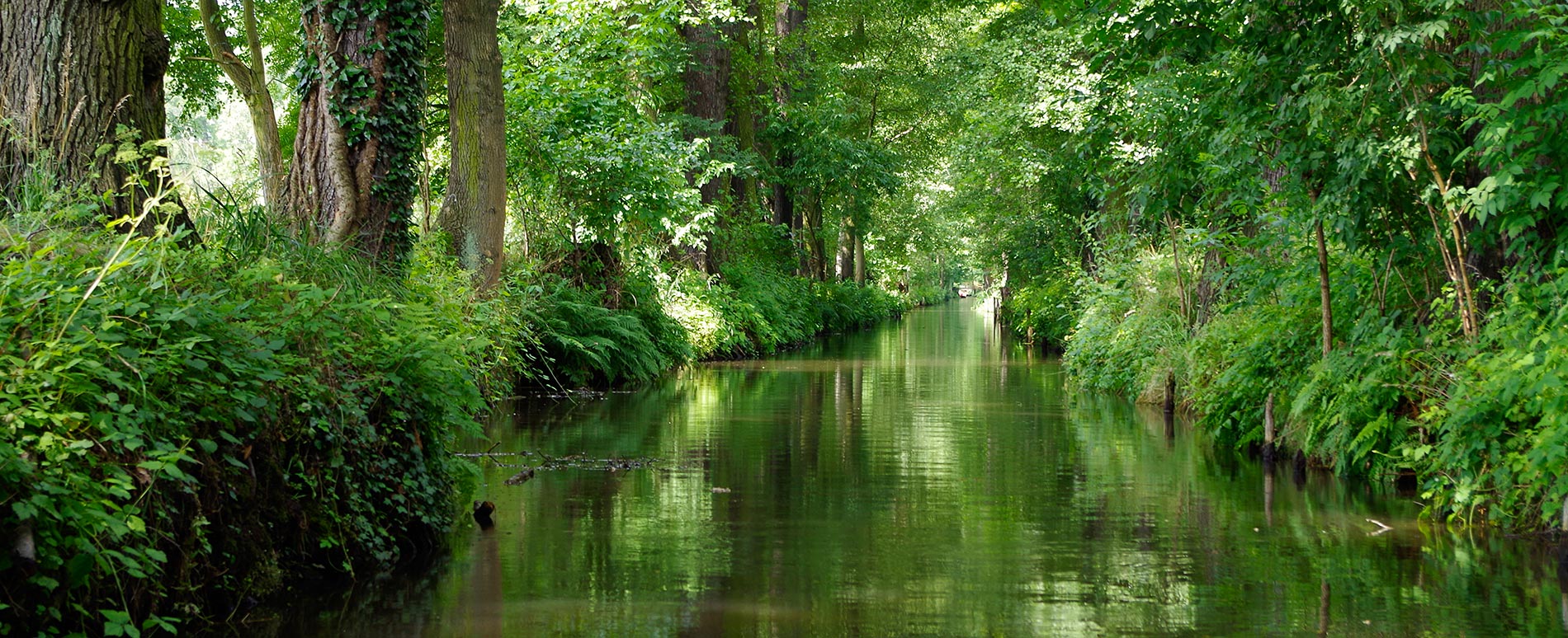 idyllischer Spreewald