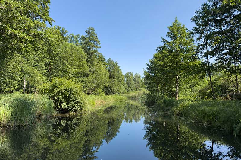 Natur Kahnfahrt in Lübben
