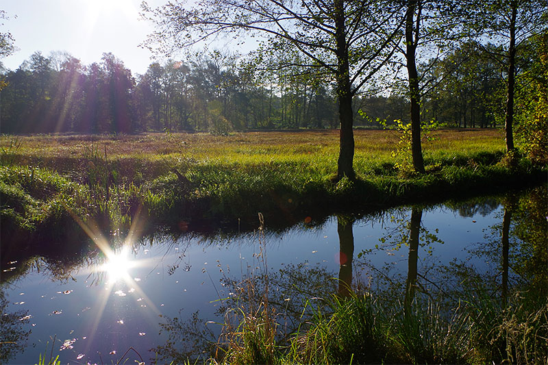 Sonnenaufgang im Spreewald