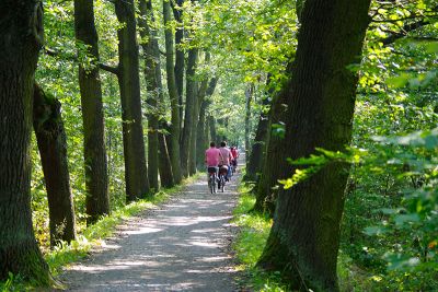 Radweg von Leipe nach Lehde Radweg von Leipe nach Lehde