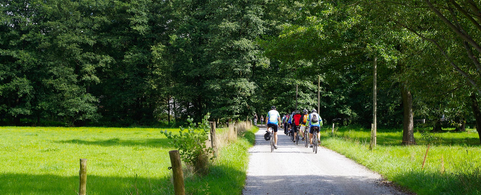 Radfahren im Spreewald