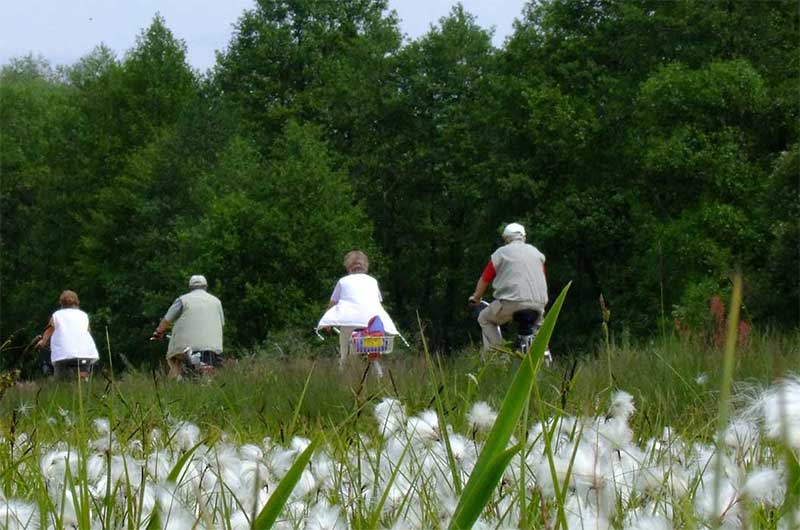 Gruppe Radfahrer