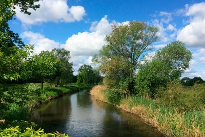 Entstehung des Spreewald