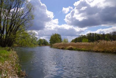 die Spree bei Cottbus