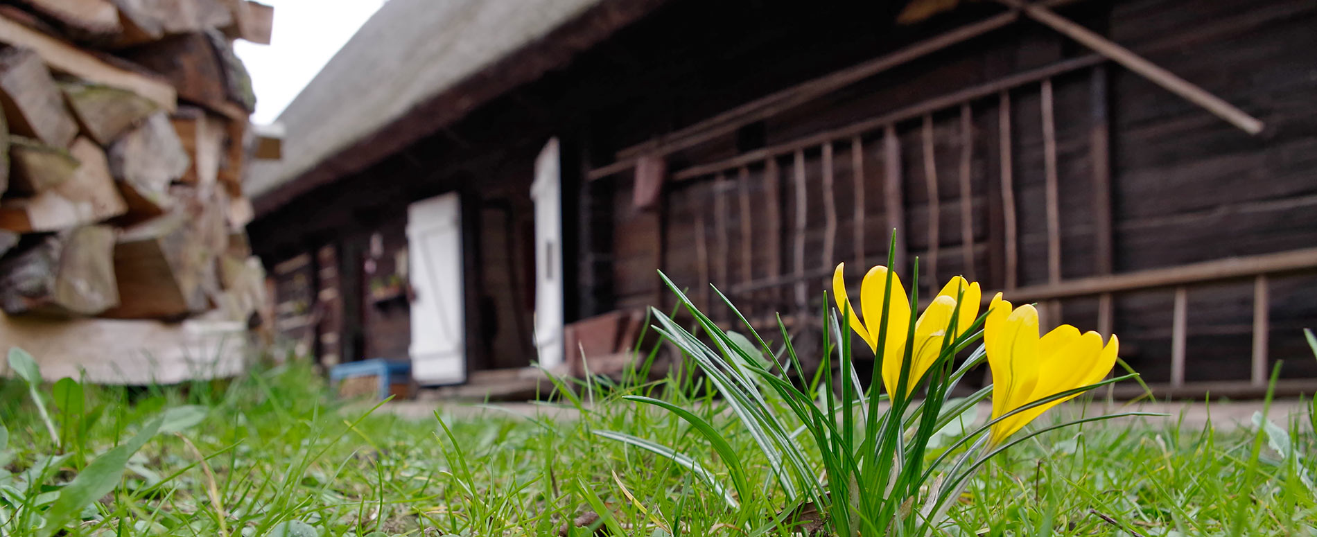 Frühling im Spreewald