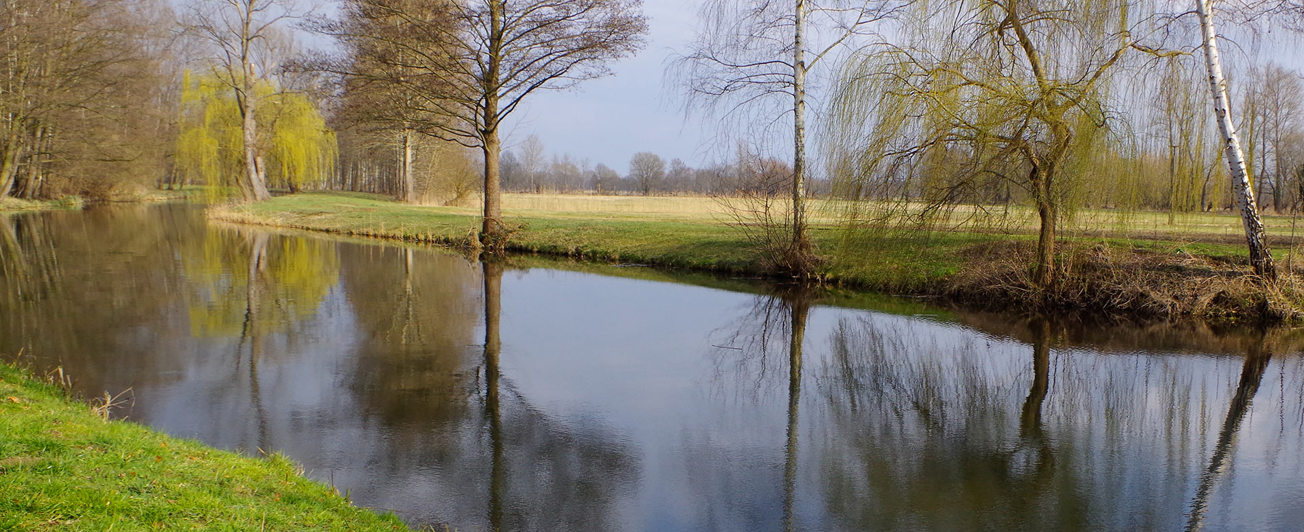 Fließ im Spreewald