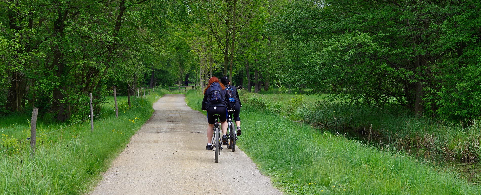 tour brandenburg radweg