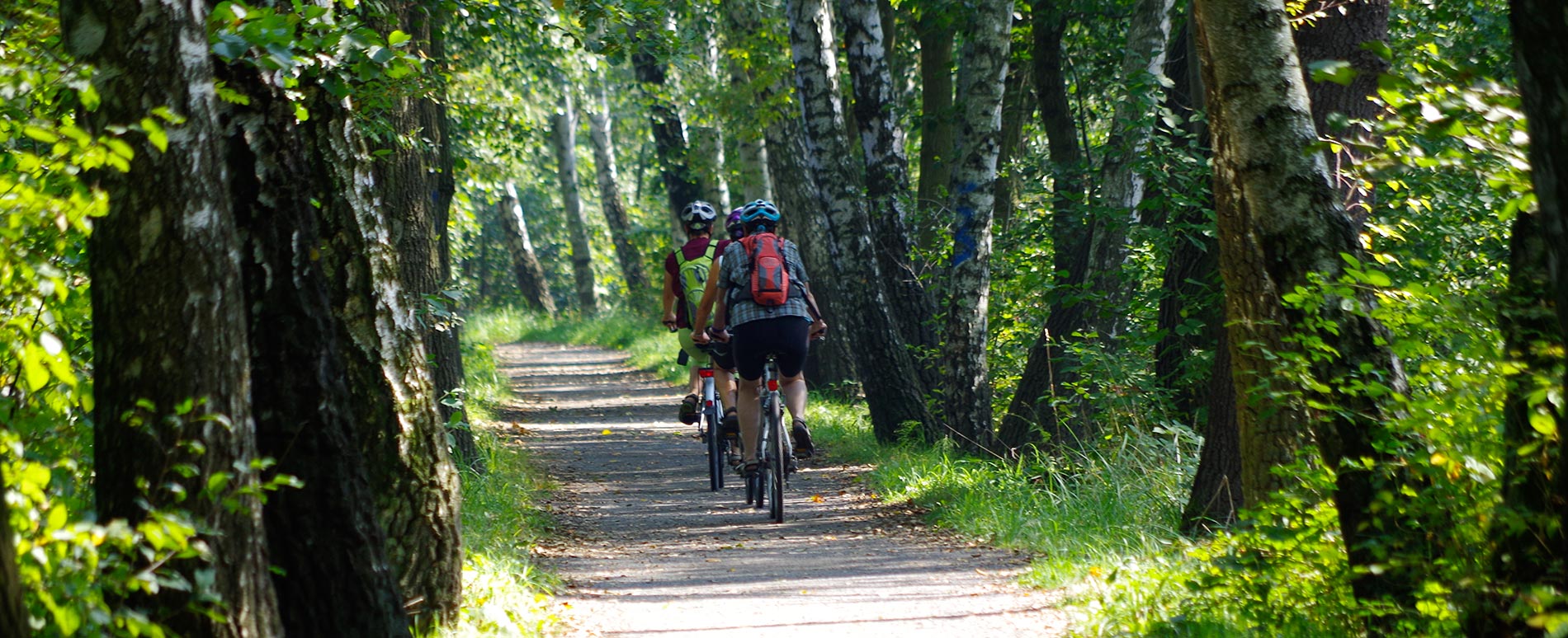 Radwege im Spreewald Übersicht der Fahrradtouren