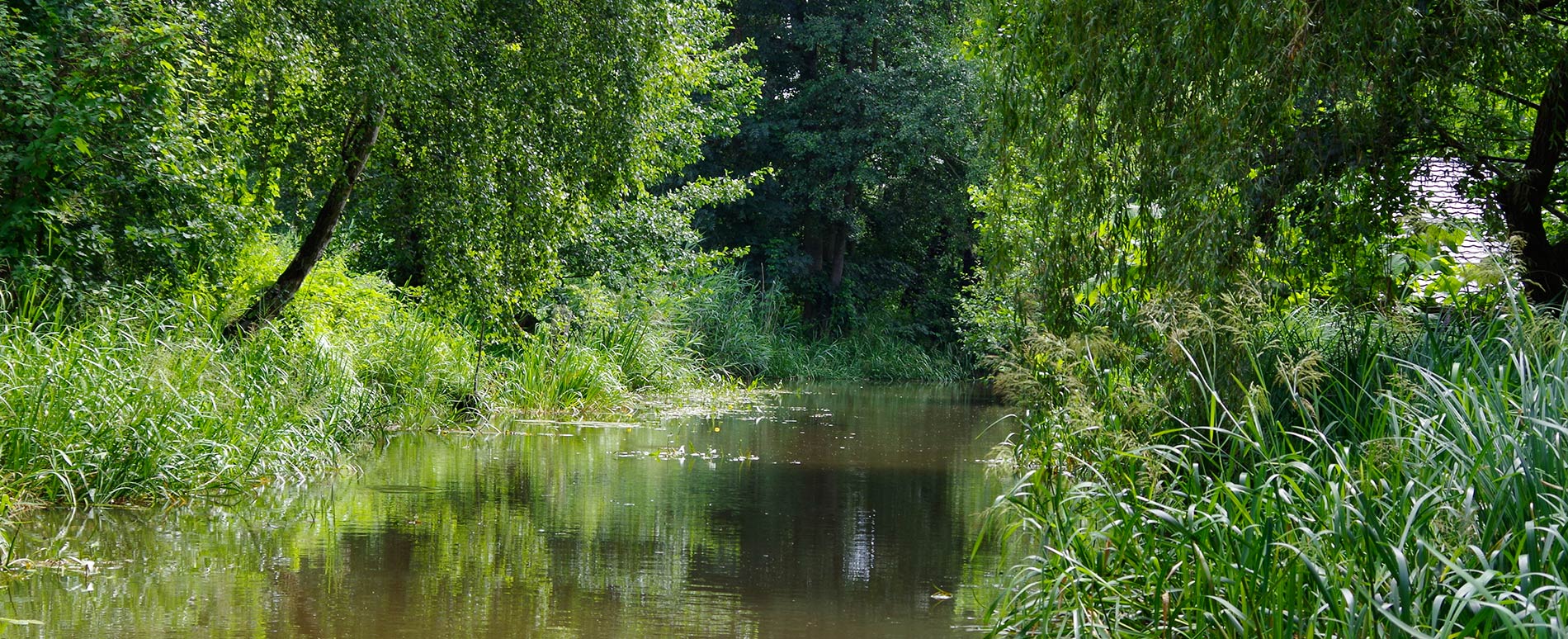 Spreewald Kanal