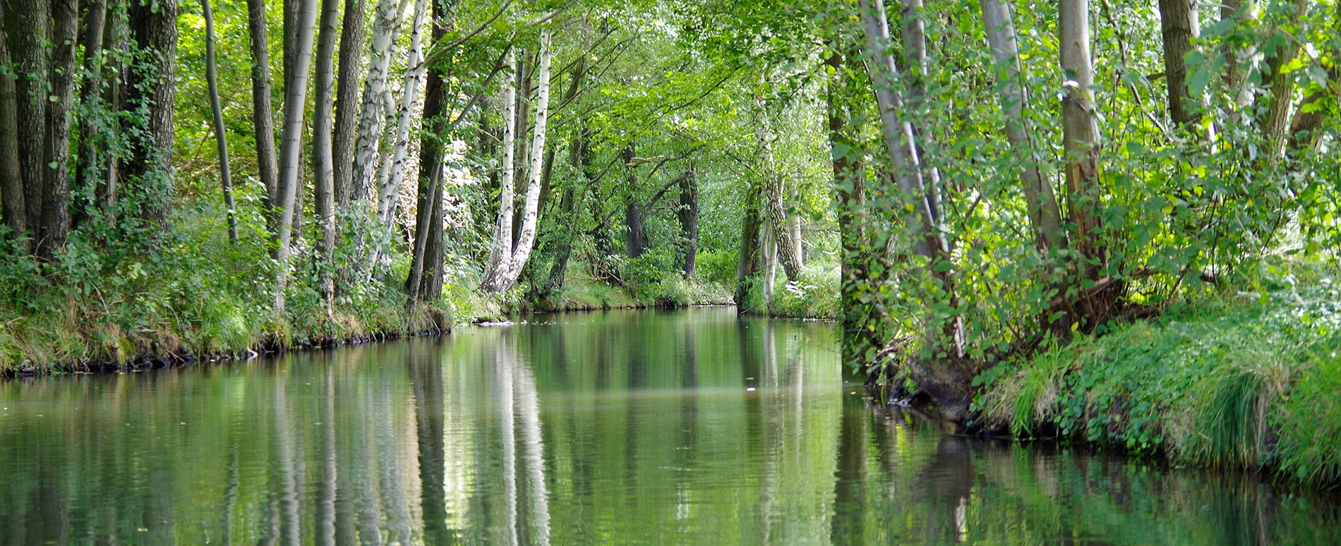 Spreewald Natur