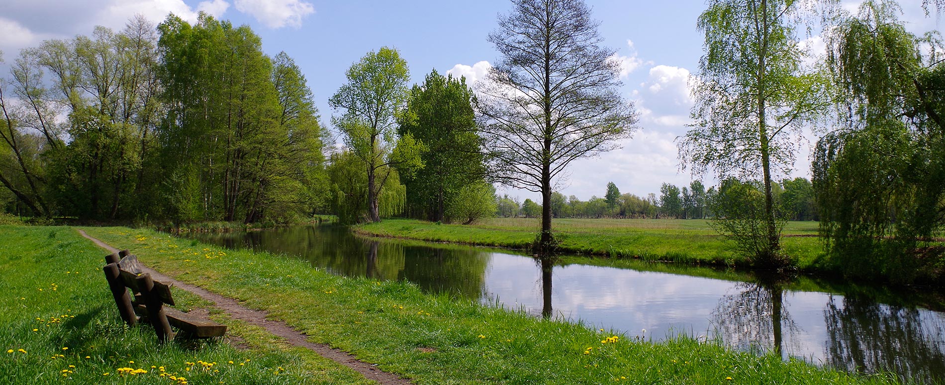 Spreewald