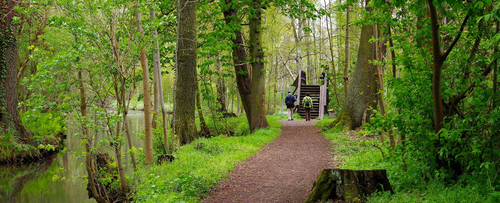 im Spreewald wandern