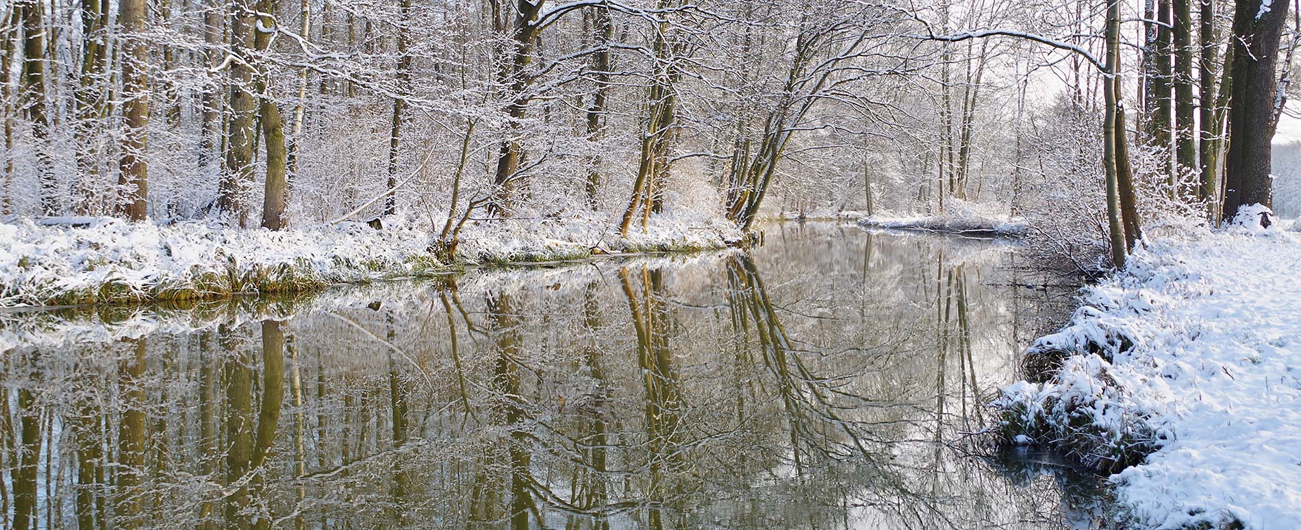 Spreewald im Winter