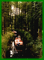 idyllische Spreewaldtour
