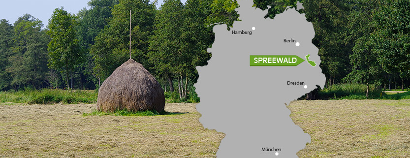 Wo liegt der Spreewald?