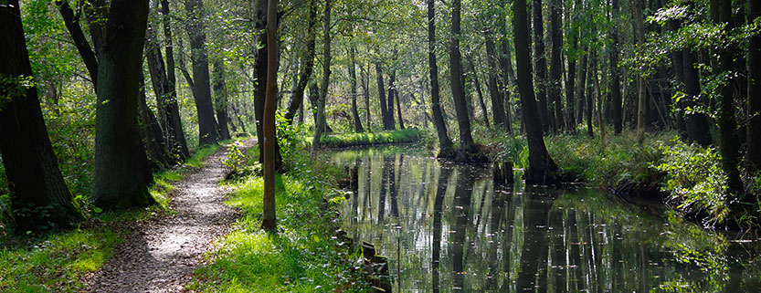 Wandern im Spreewald im Herbst