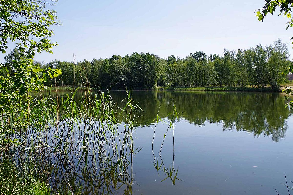 Willischza See
