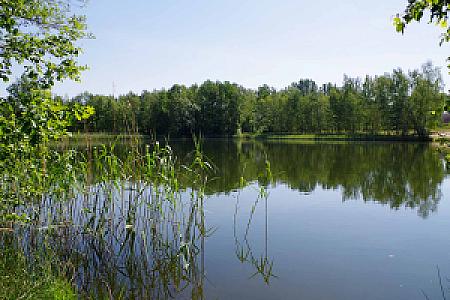 Bild Willischza See