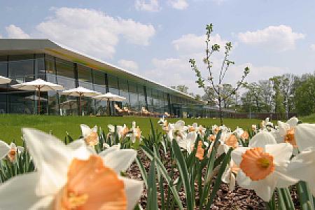 Bild Spreewald Therme Massagen & Wellnesspakete