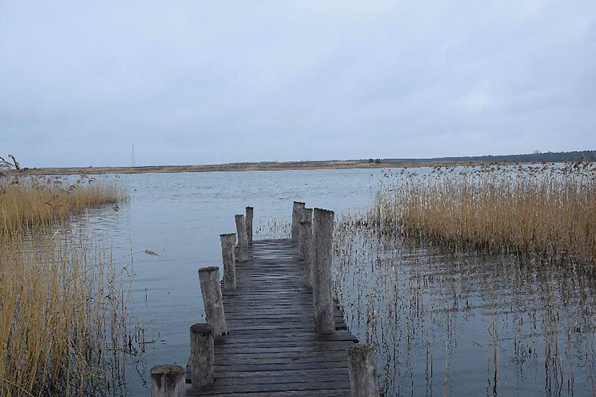 Ferienhaus am See
