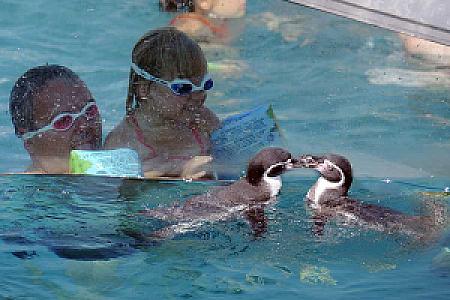 Bild Spreewelten Erlebnisbad