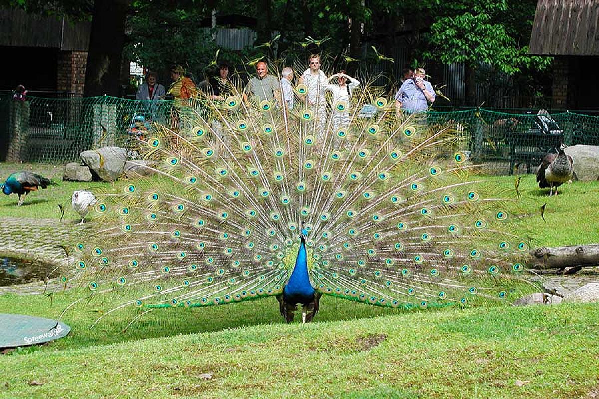 Tierpark Cottbus