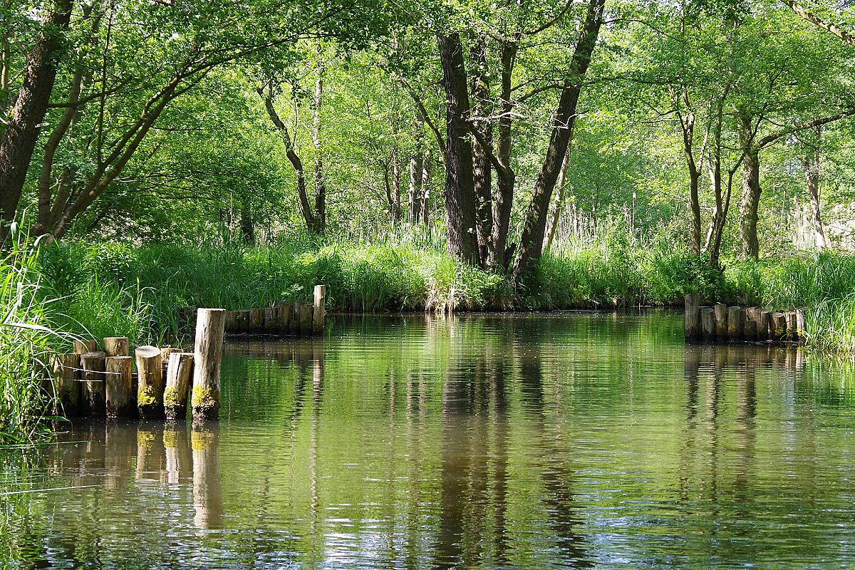 Fährmannsverein Flottes Rudel - holzpfahl-im-wasser-in-luebben_sia_20230525_3043