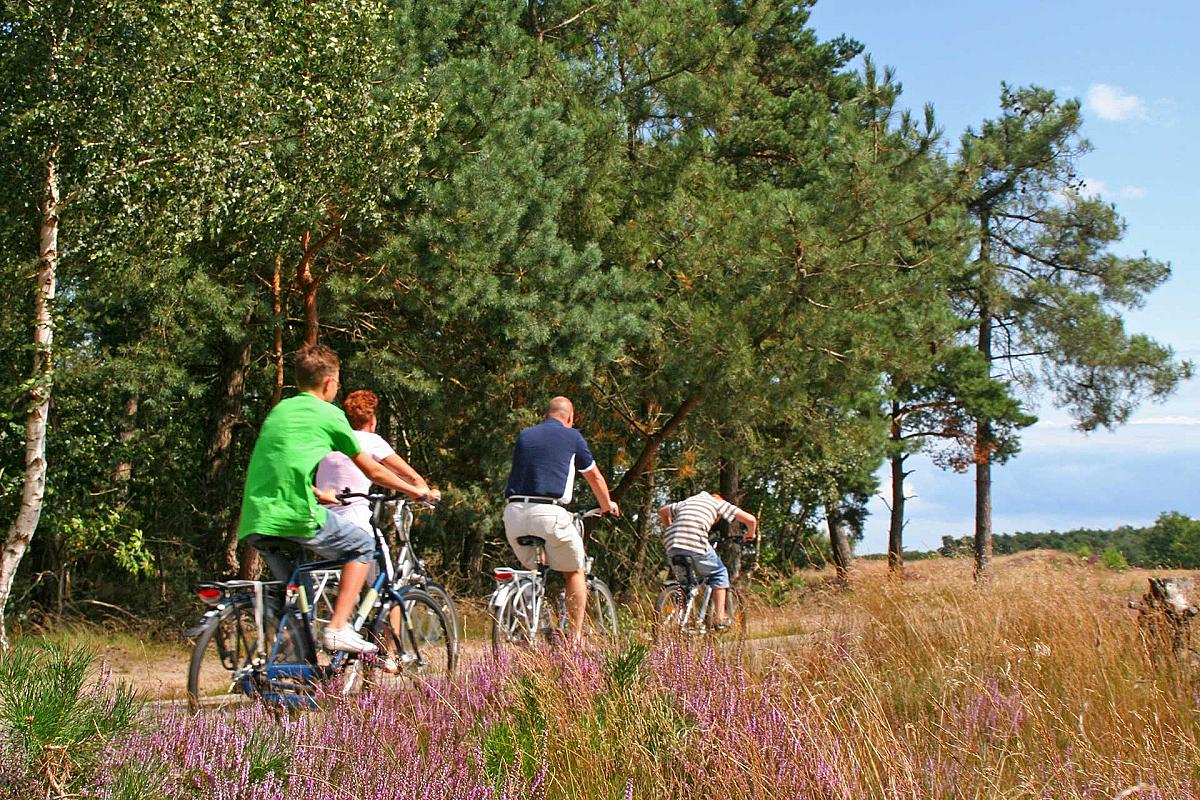 Niederlausitzer Bergbautour - 320 Kilometer