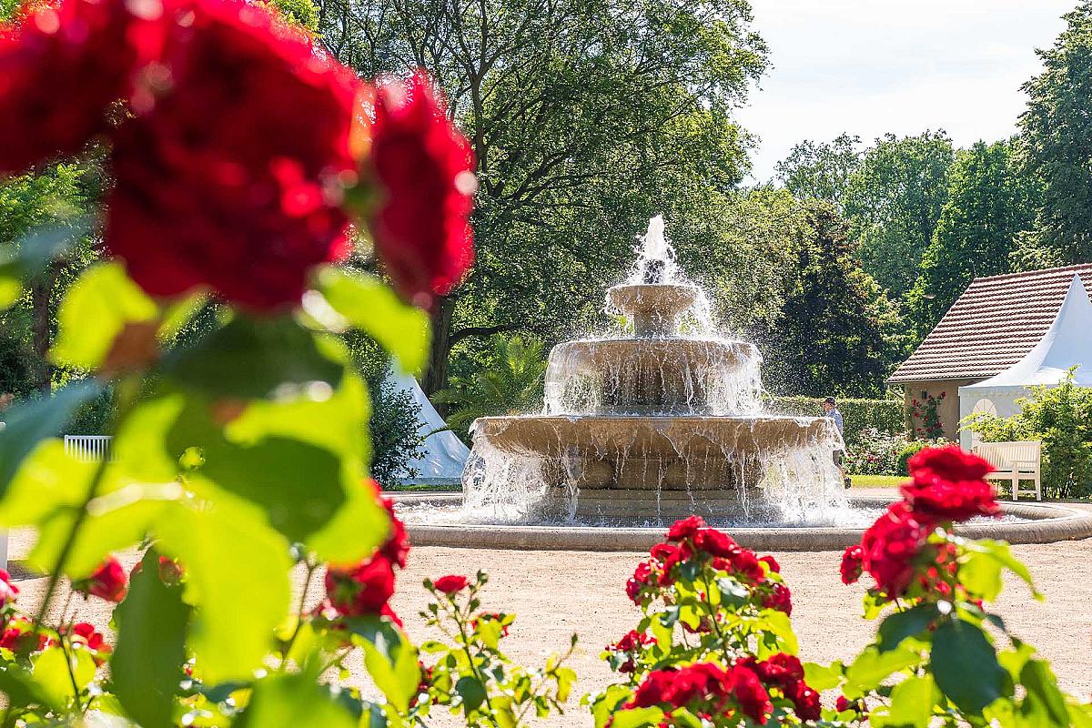 Ostdeutscher Rosengarten