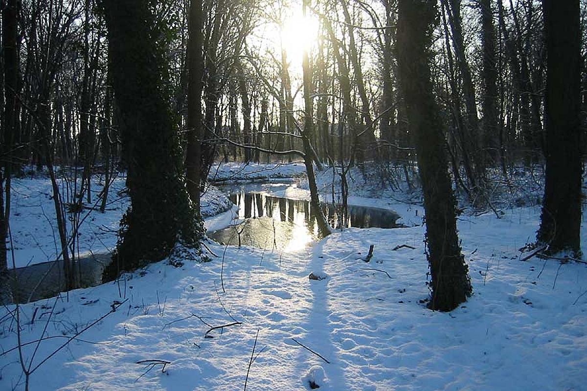 Kahnfahrten Martin Matthei - Winter in Lübben
