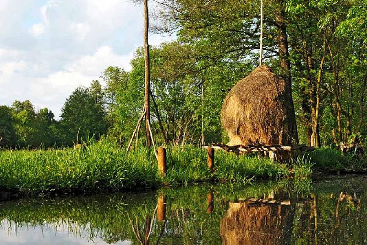wib Spreewälder Feriendomizil - wib.spreewald.2