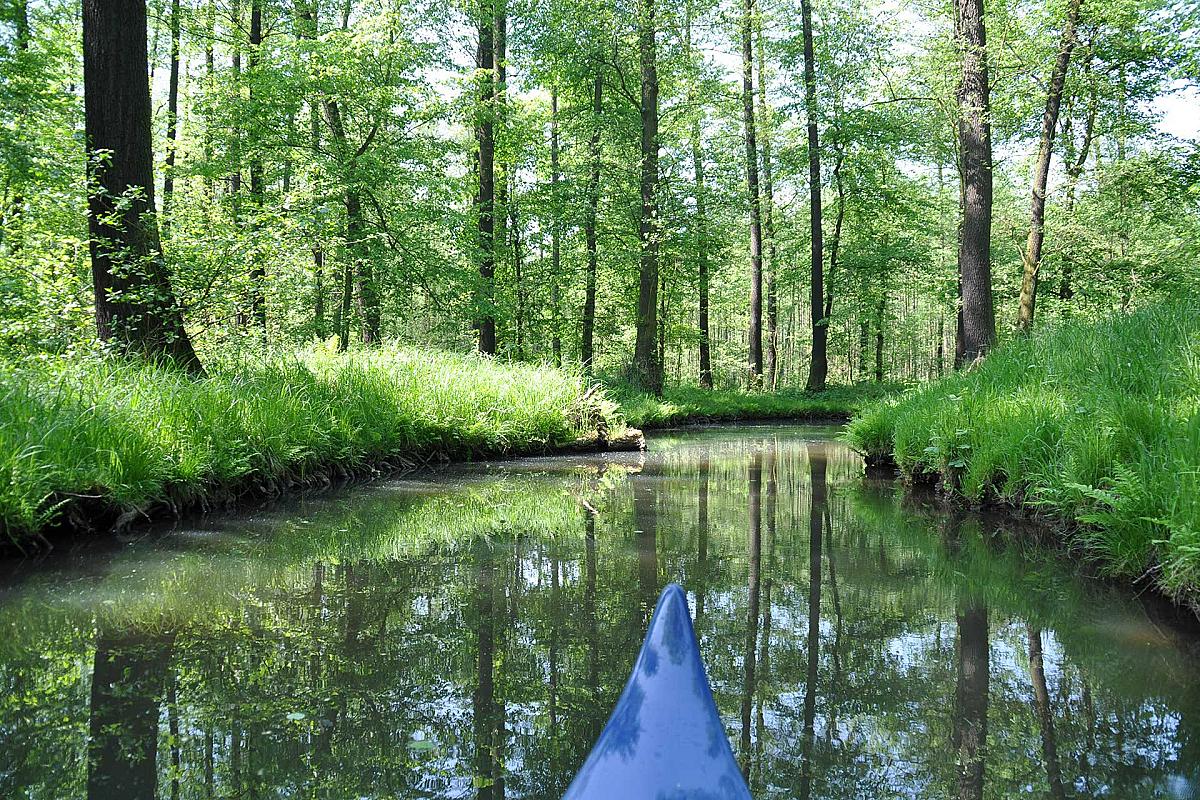 Spreewald Mahn - paddeltour-alt-zauche-blaue-spitze-kajak