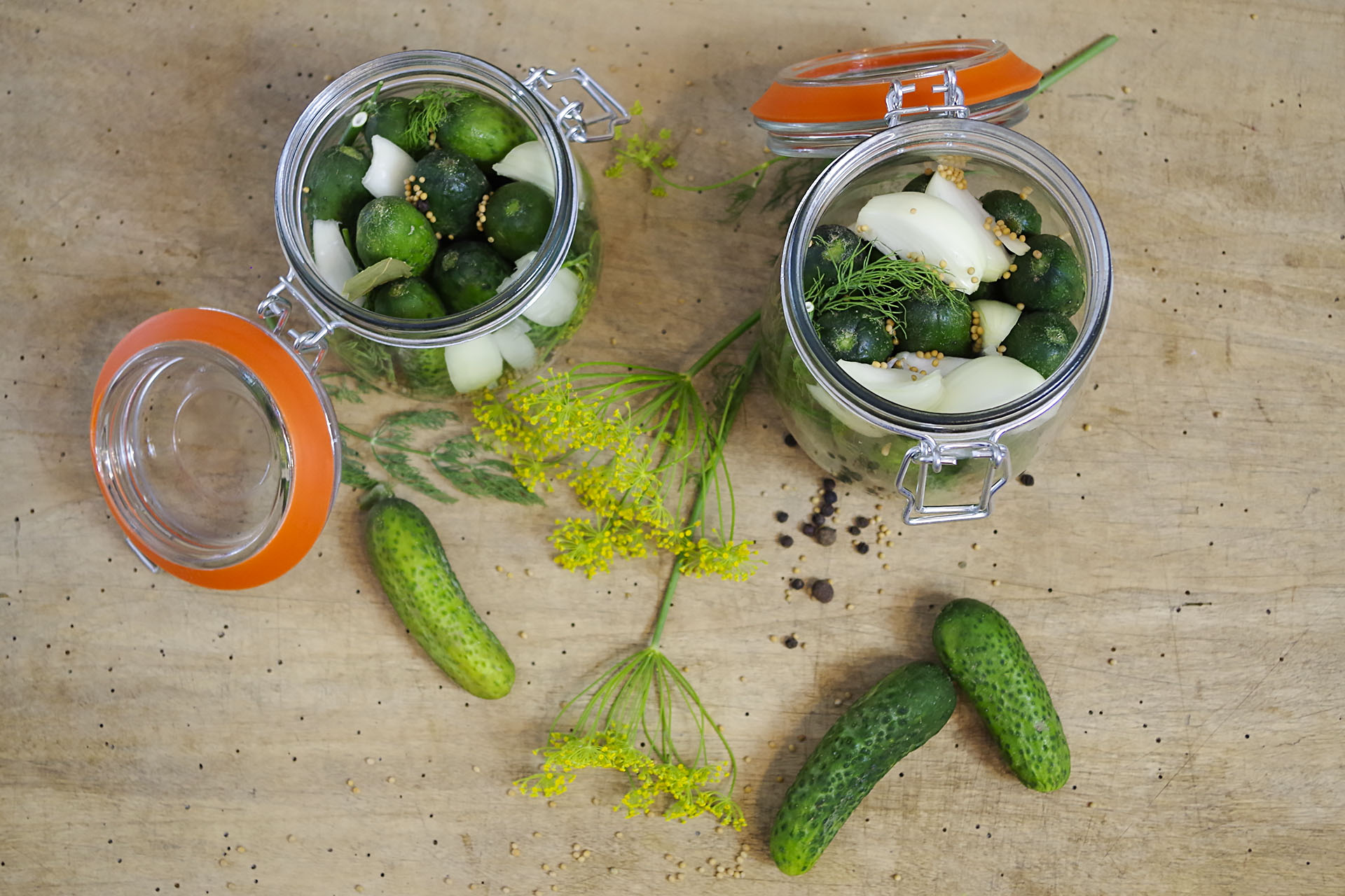 lunchdose edelstahl Ecococoon - Bento Lunchbox auslaufsicher a... | Lifestyle Servierwagen, 3 Ablageplatten, 850